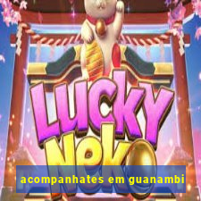 acompanhates em guanambi